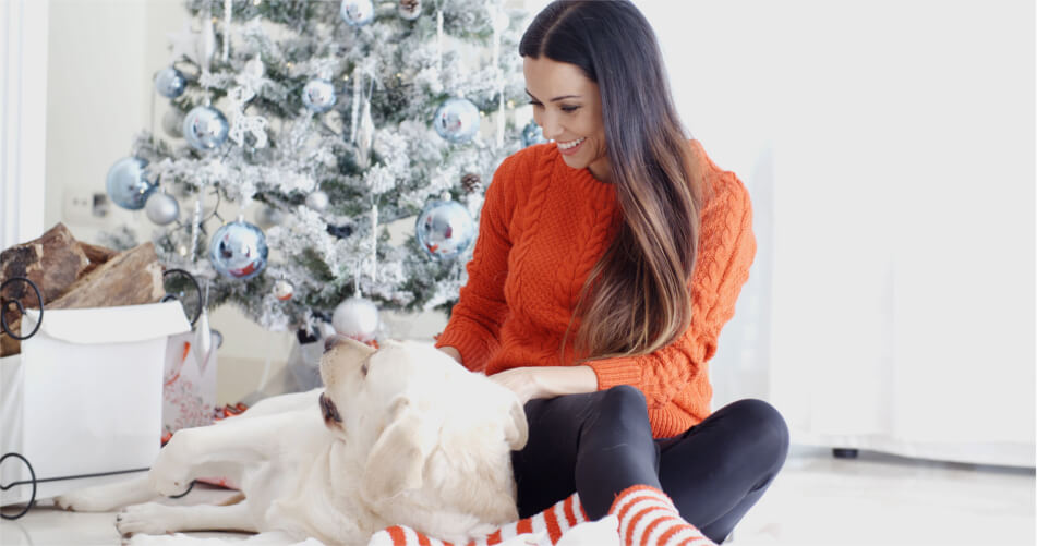 Cómo reducir gastos en el cuidado de tu perro sin afectar a su bienestar reducir gastos